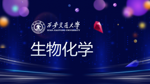 默认计划 